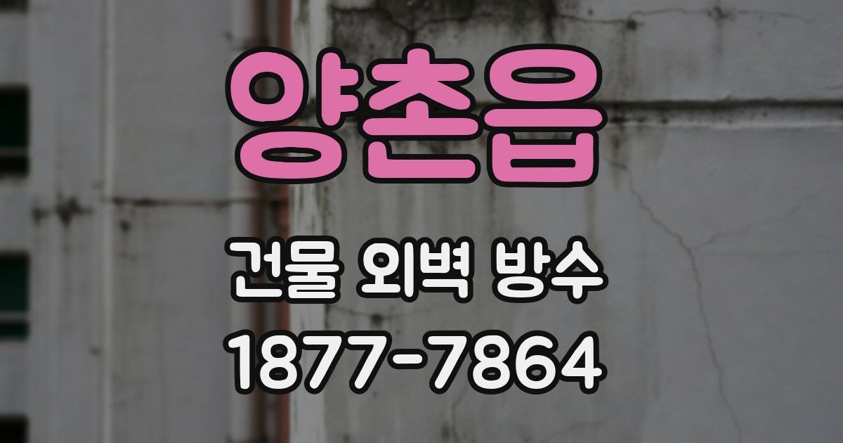 양촌읍 건물 외벽 방수