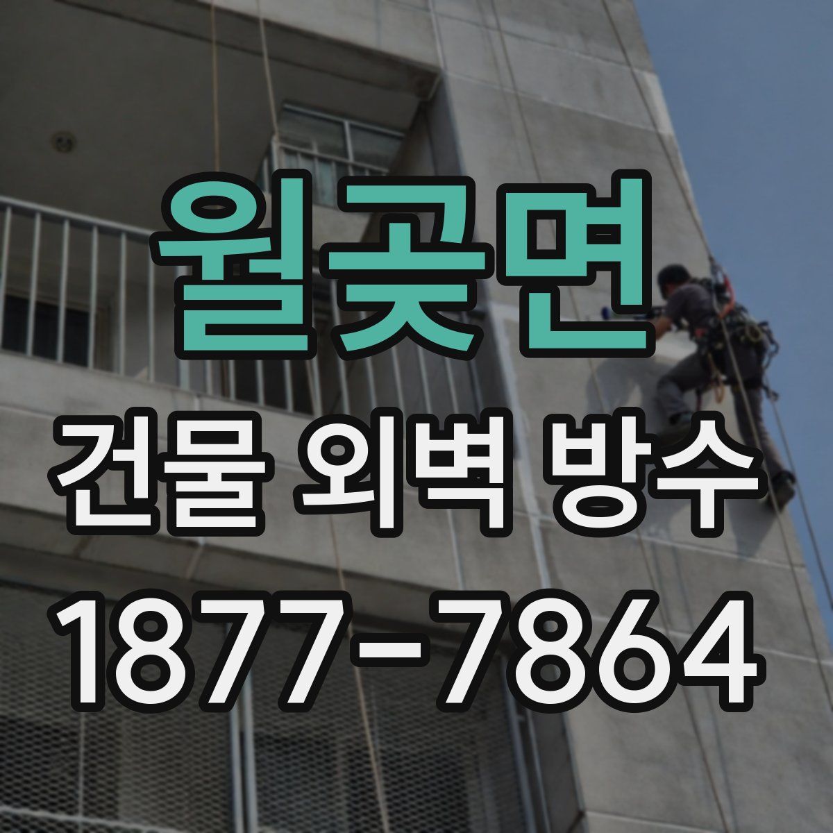 월곶면 건물 외벽 방수