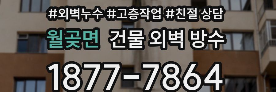 월곶면 건물 외벽 방수