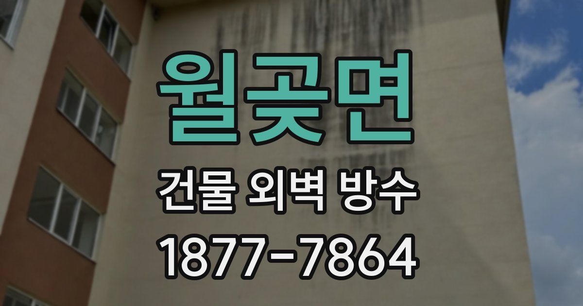 월곶면 건물 외벽 방수