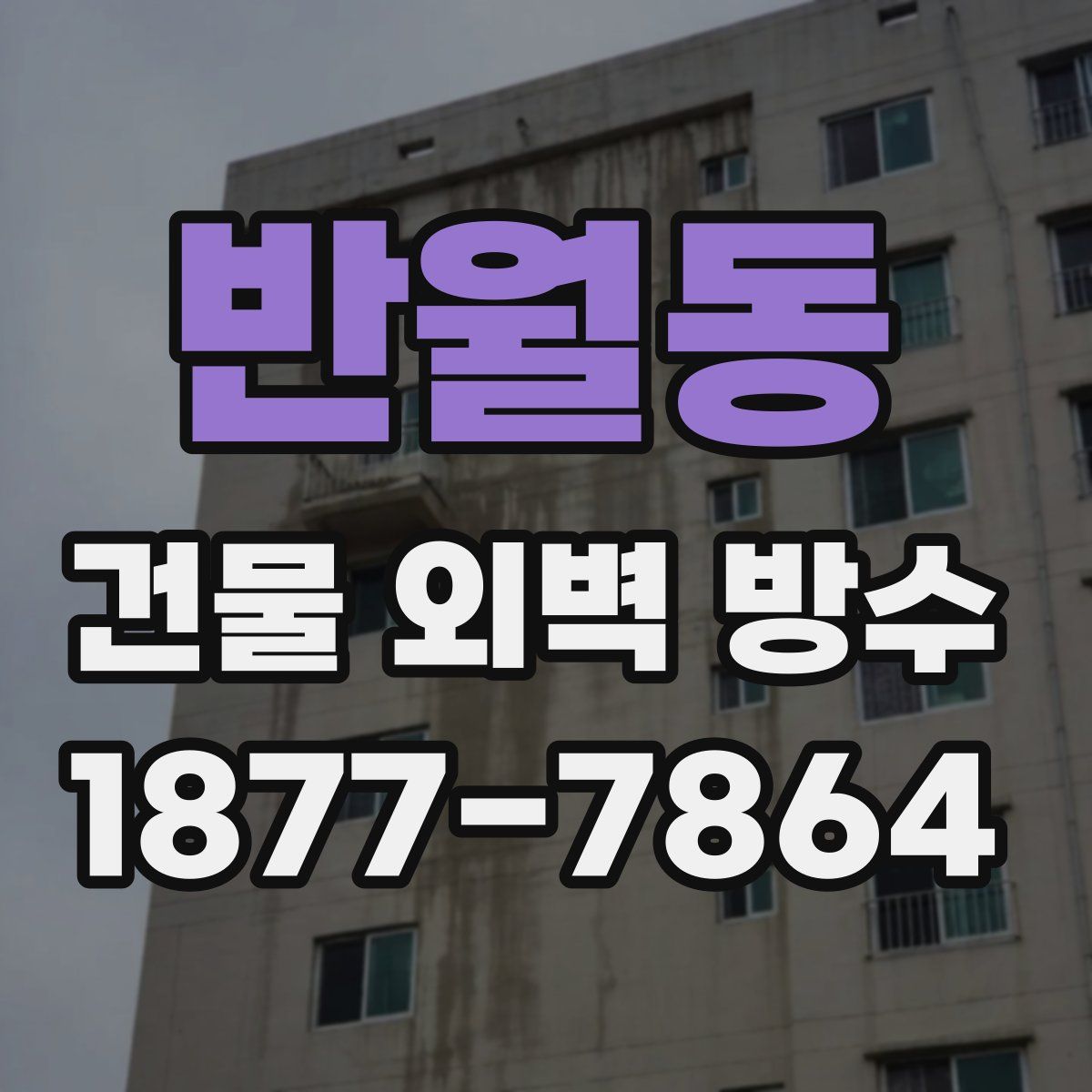 반월동 건물 외벽 방수