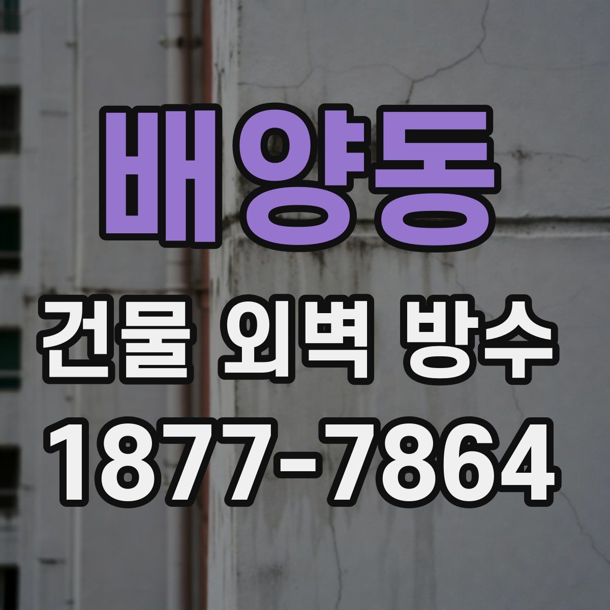 배양동 건물 외벽 방수