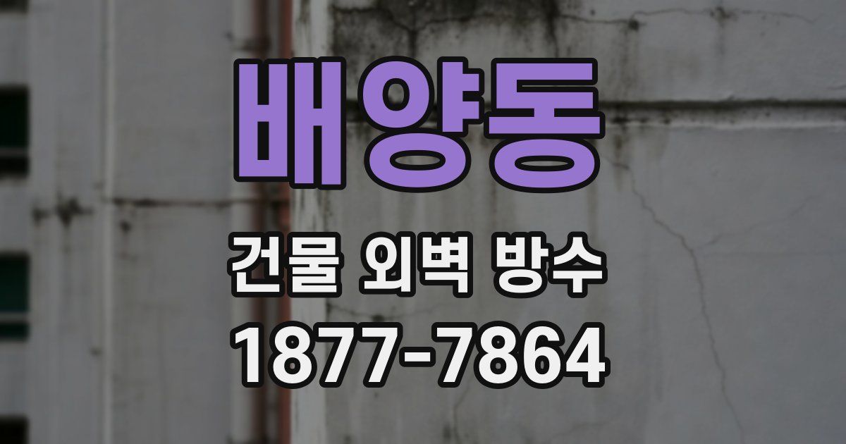 배양동 건물 외벽 방수