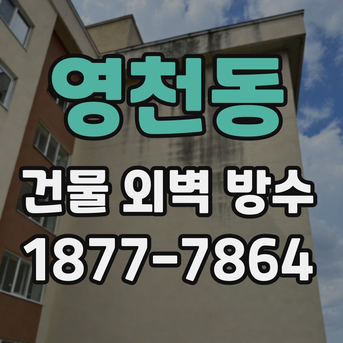 영천동 건물 외벽 방수