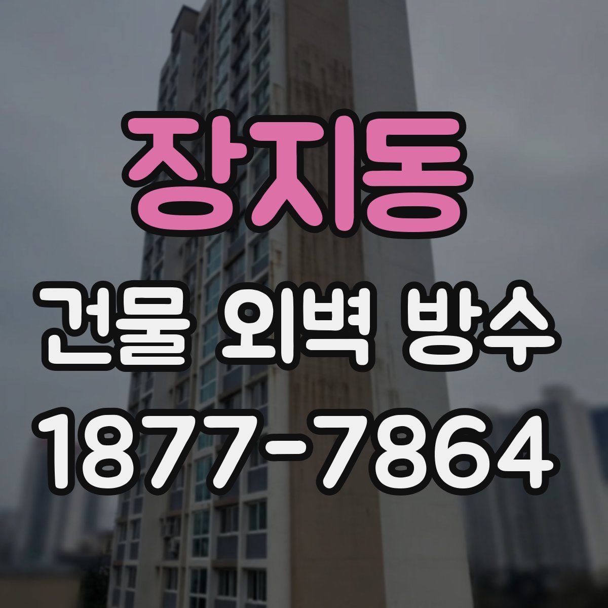 장지동 건물 외벽 방수