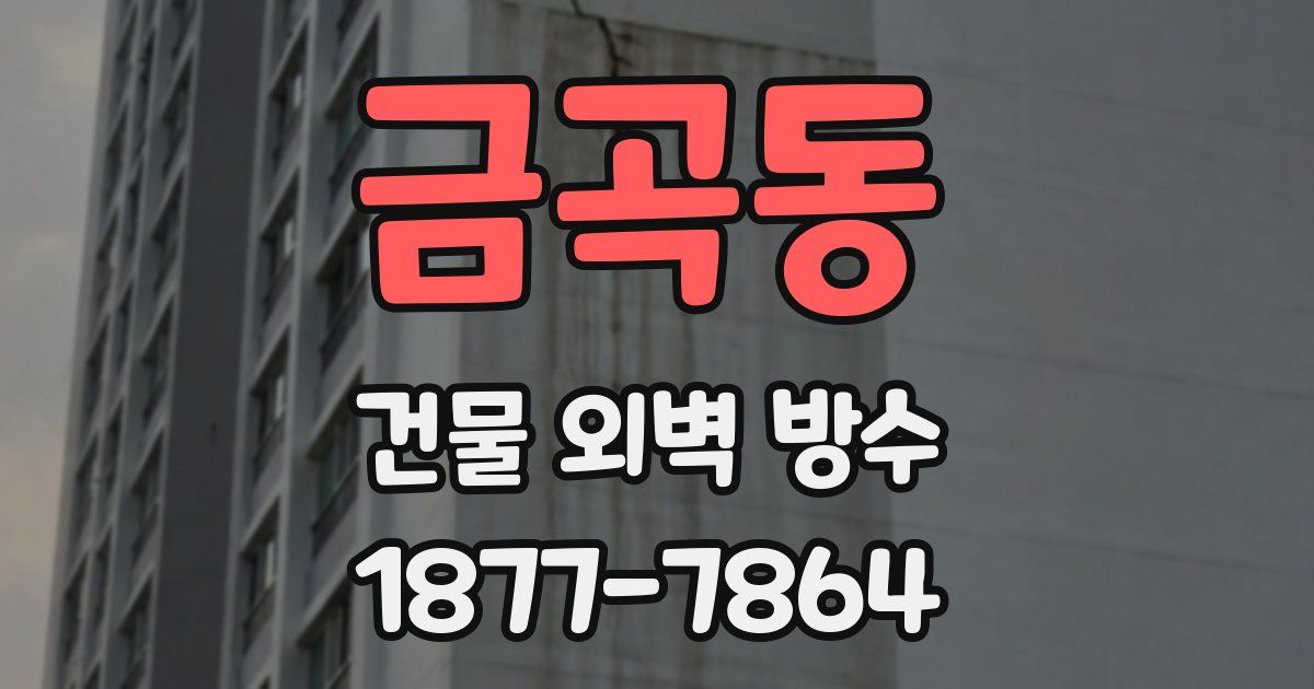금곡동 건물 외벽 방수