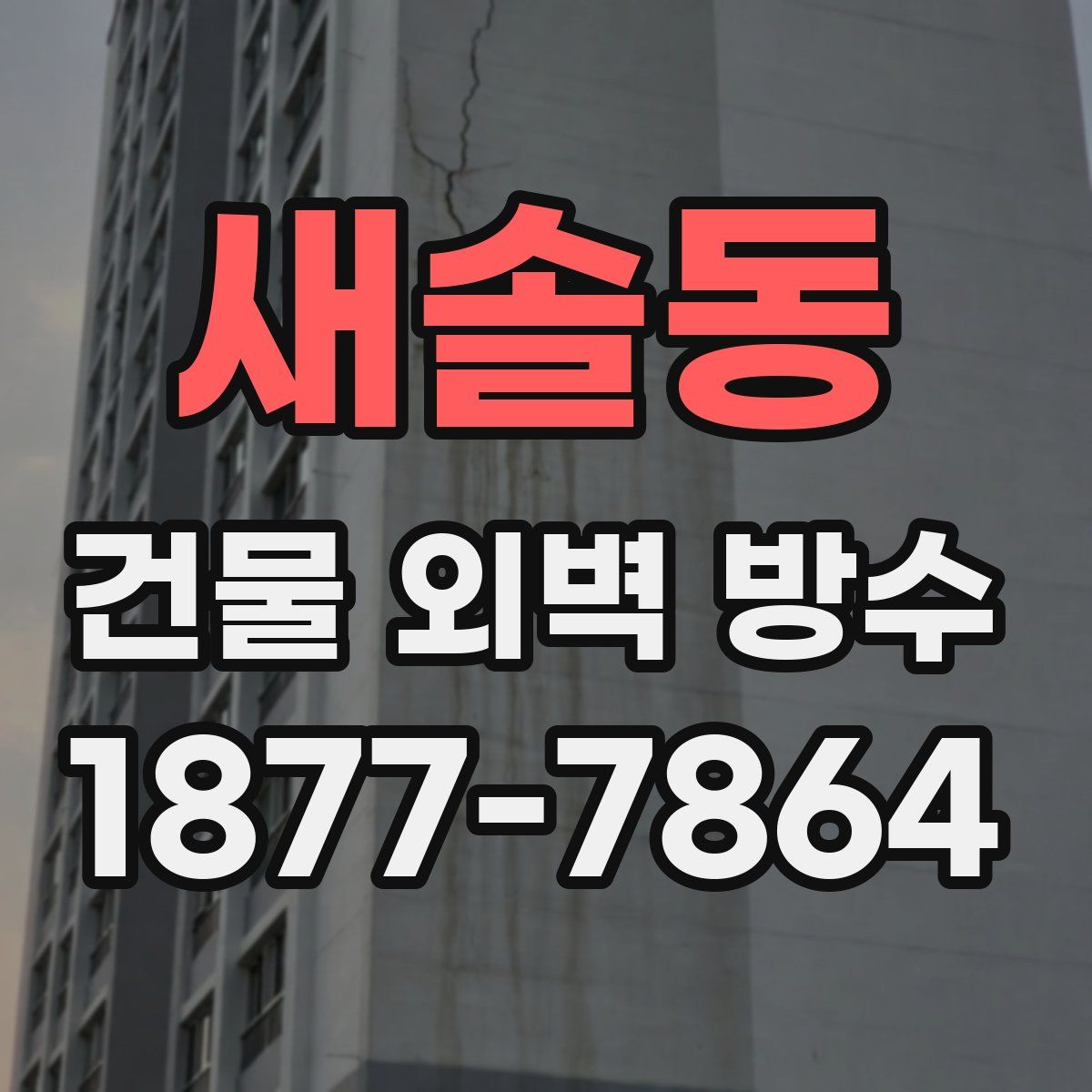 새솔동 건물 외벽 방수