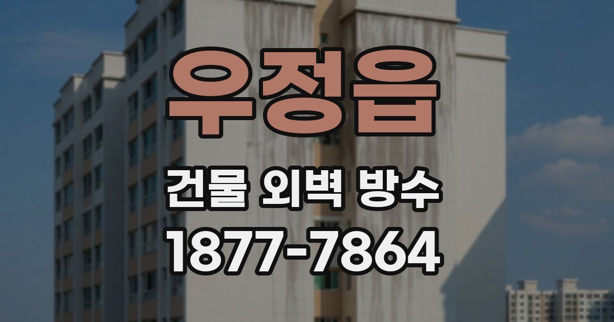 우정읍 건물 외벽 방수