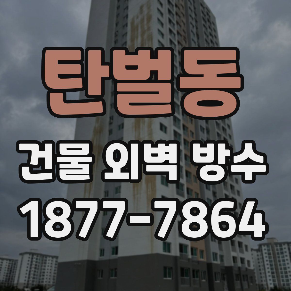 탄벌동 건물 외벽 방수