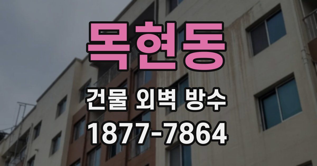 목현동 건물 외벽 방수