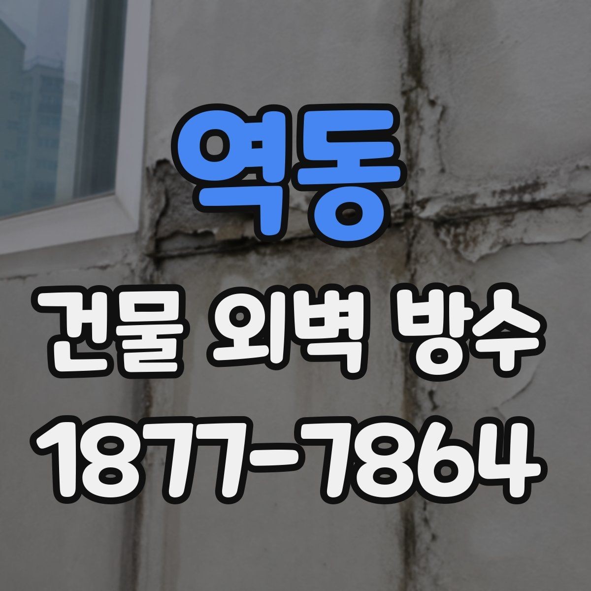 역동 건물 외벽 방수 공사 범위 정할 때 보는 기준