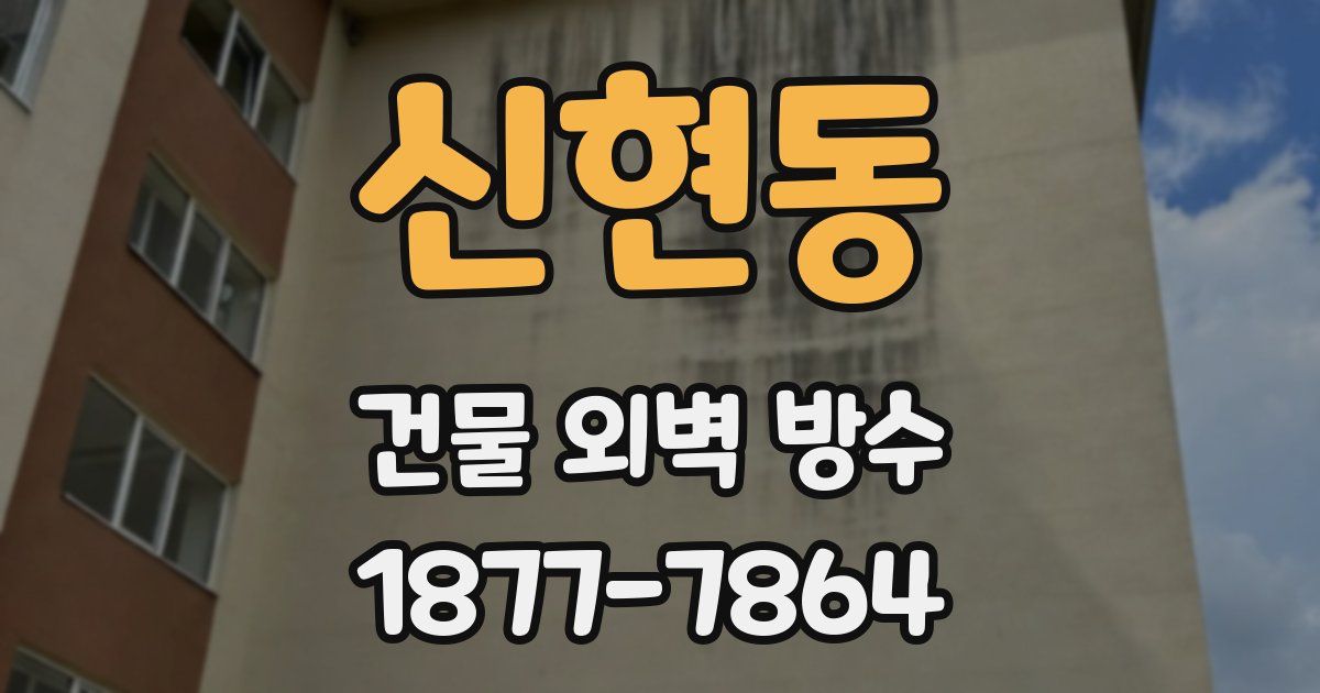 신현동 건물 외벽 방수