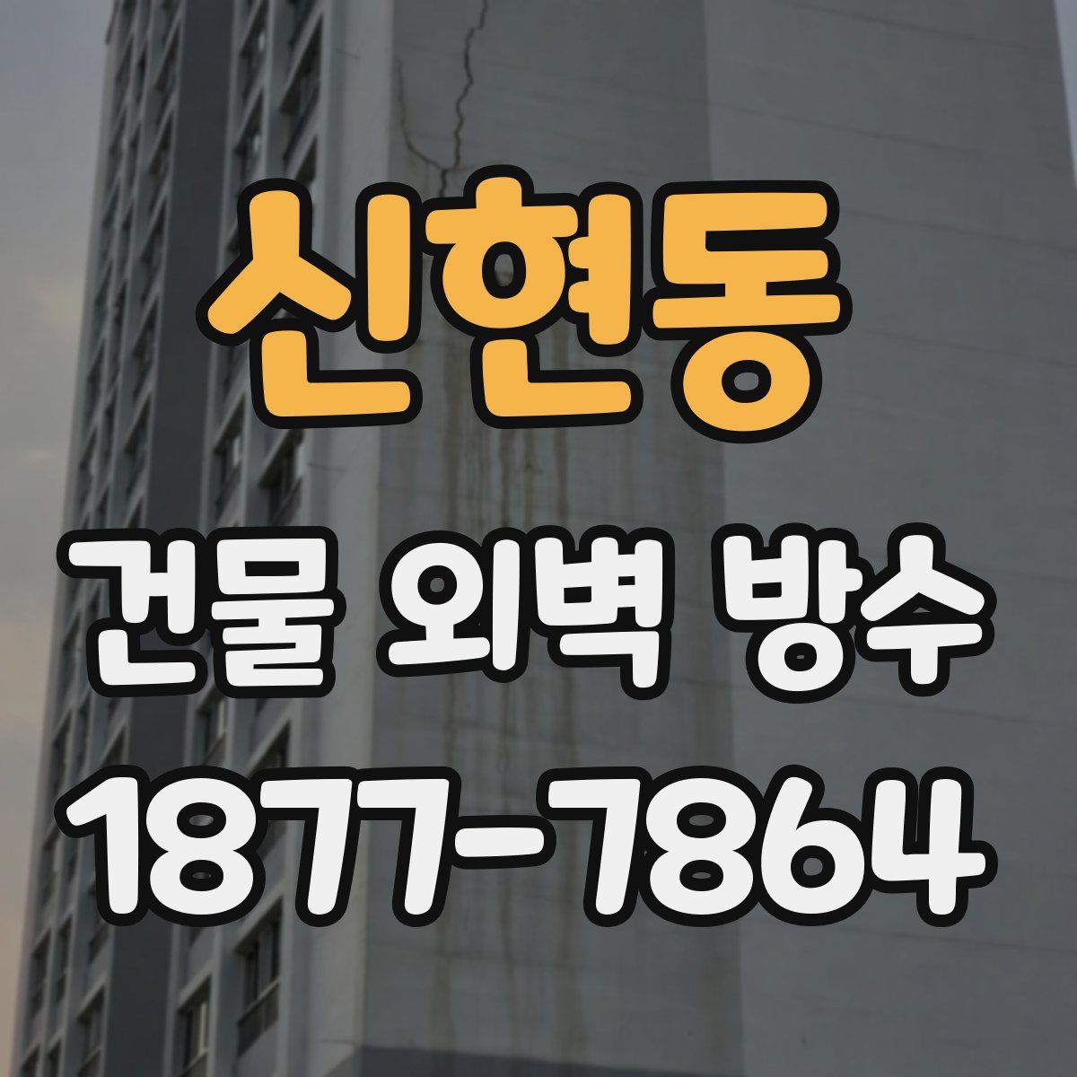 신현동 건물 외벽 방수