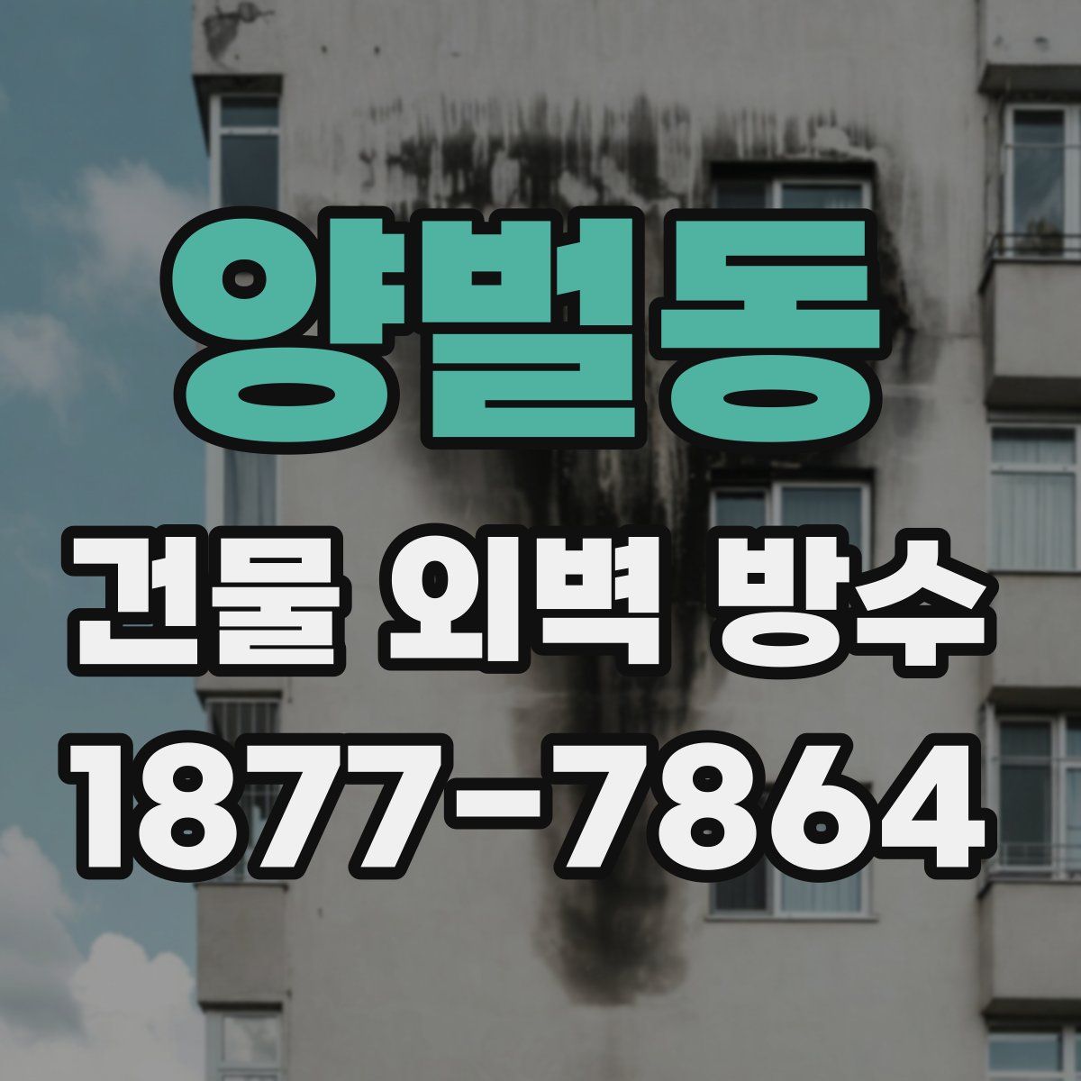 양벌동 건물 외벽 방수
