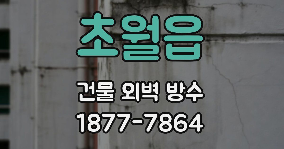 초월읍 건물 외벽 방수