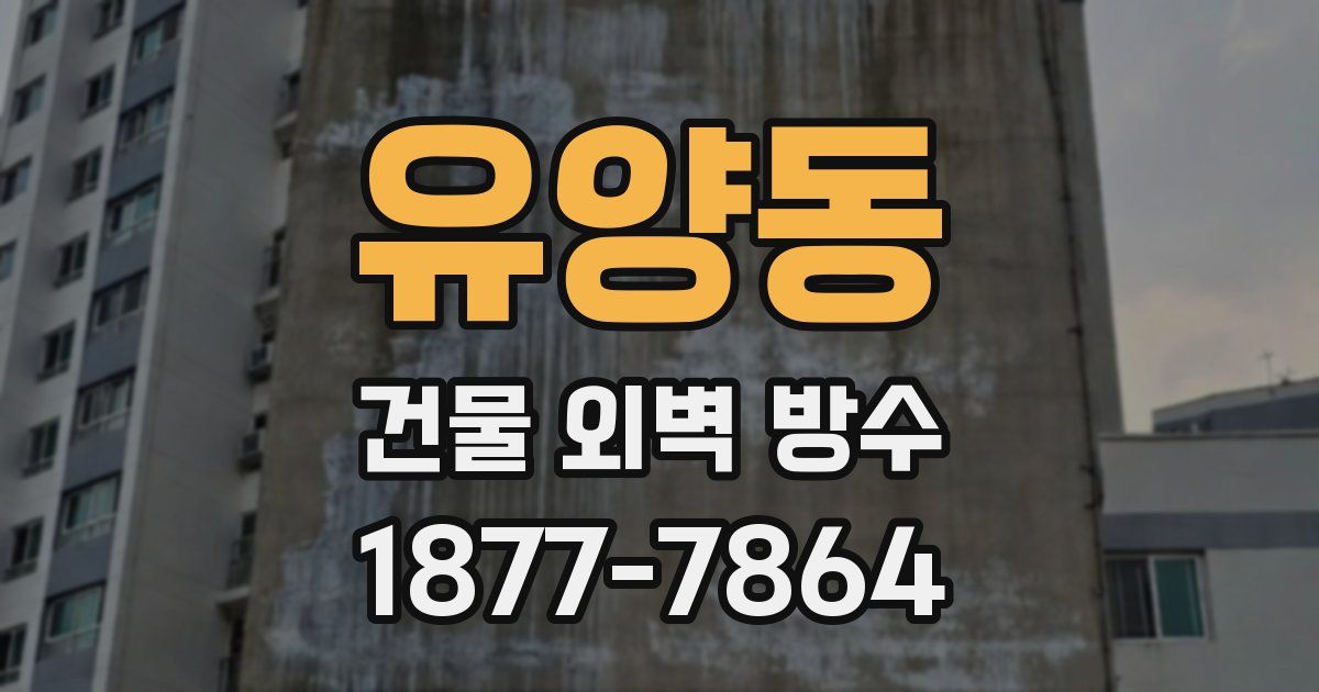 유양동 건물 외벽 방수