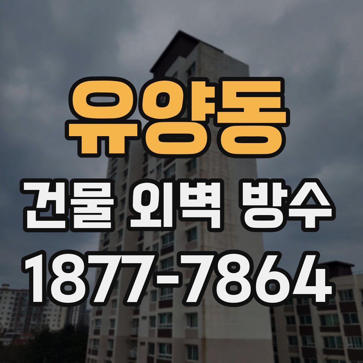 유양동 건물 외벽 방수