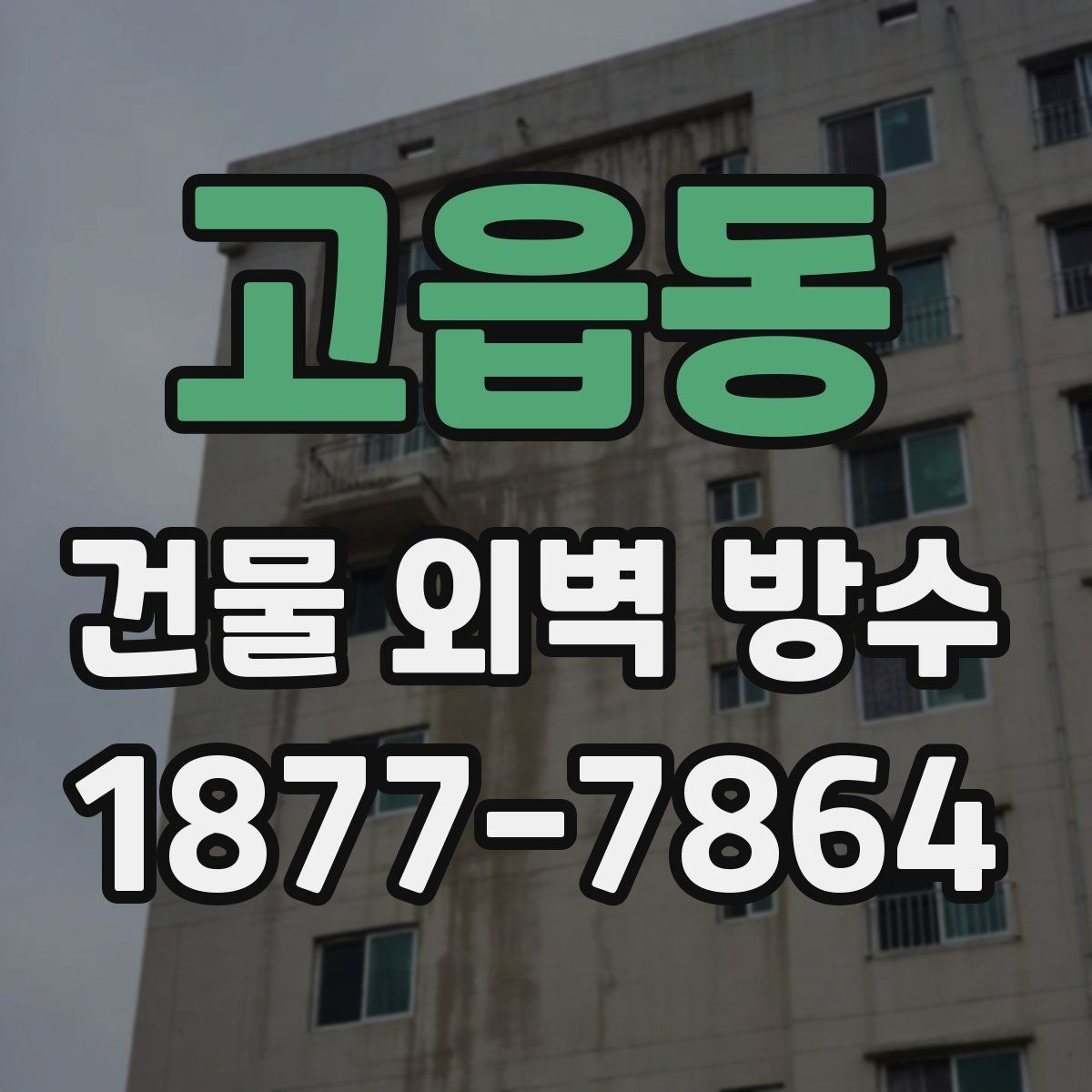 고읍동 건물 외벽 방수 처음 맡길 때 알아두면 좋은 점