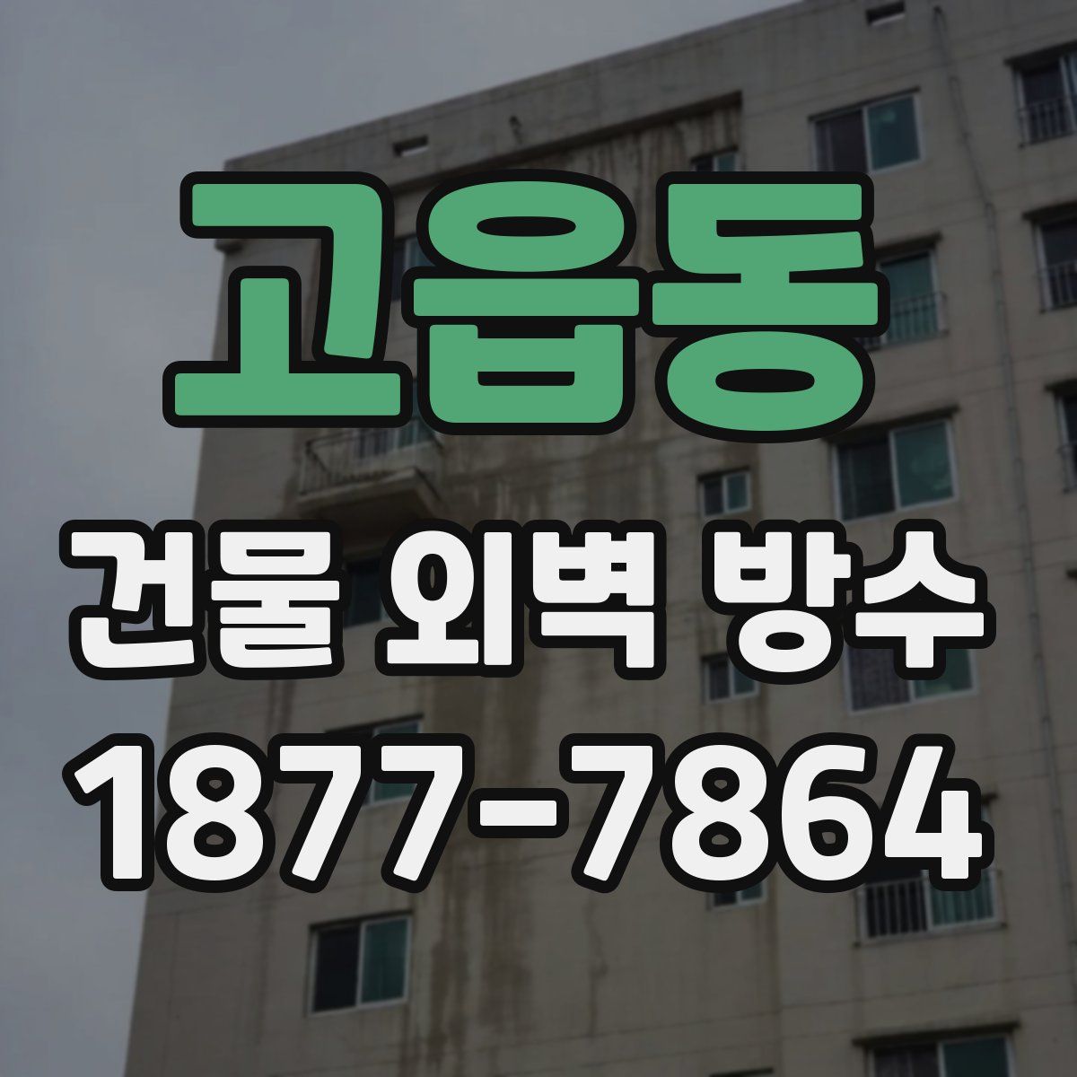 고읍동 건물 외벽 방수