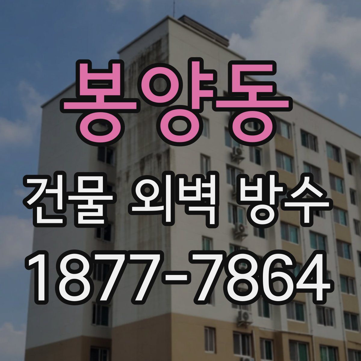 봉양동 건물 외벽 방수