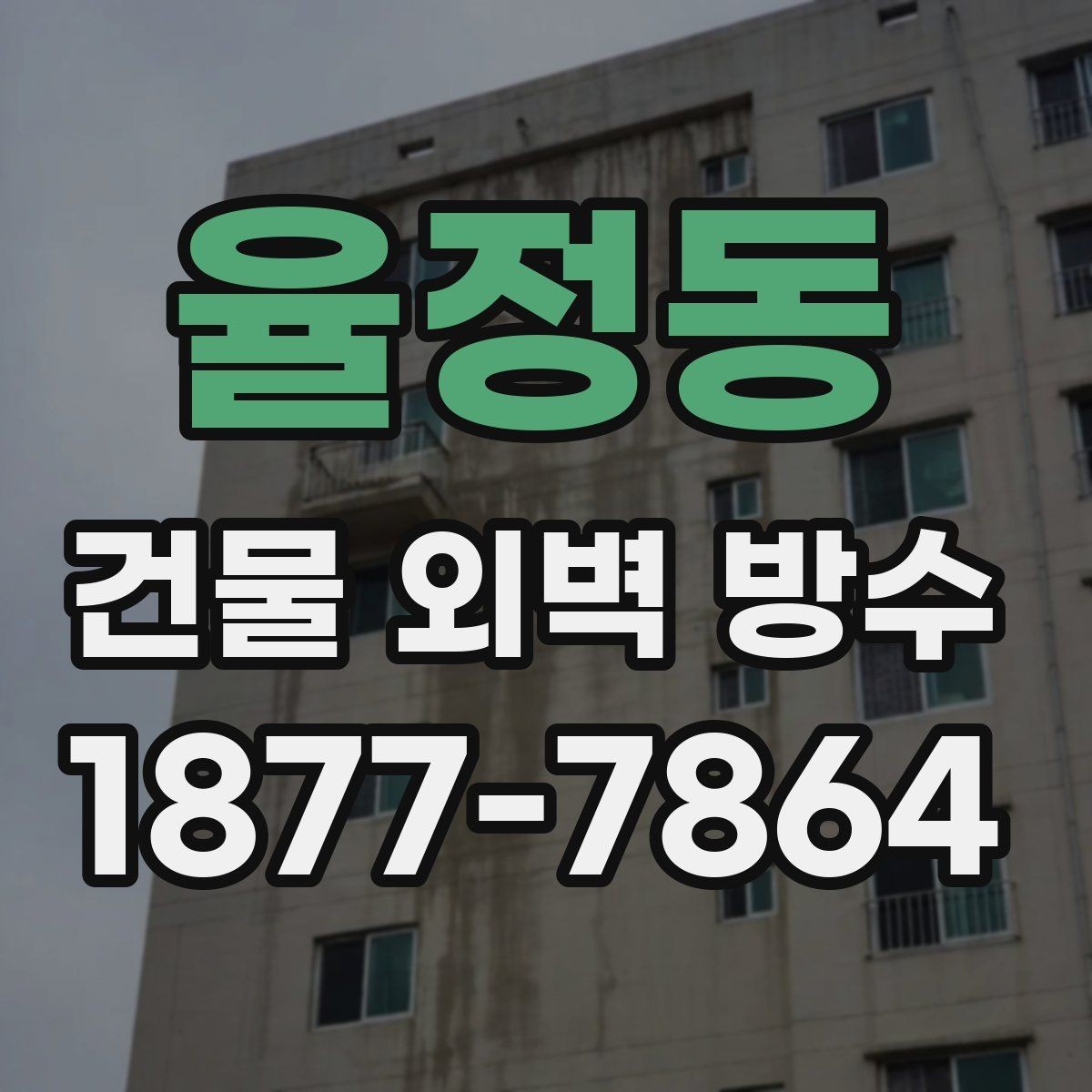 율정동 건물 외벽 방수 진행 전 주변 환경도 확인해야 하는 이유