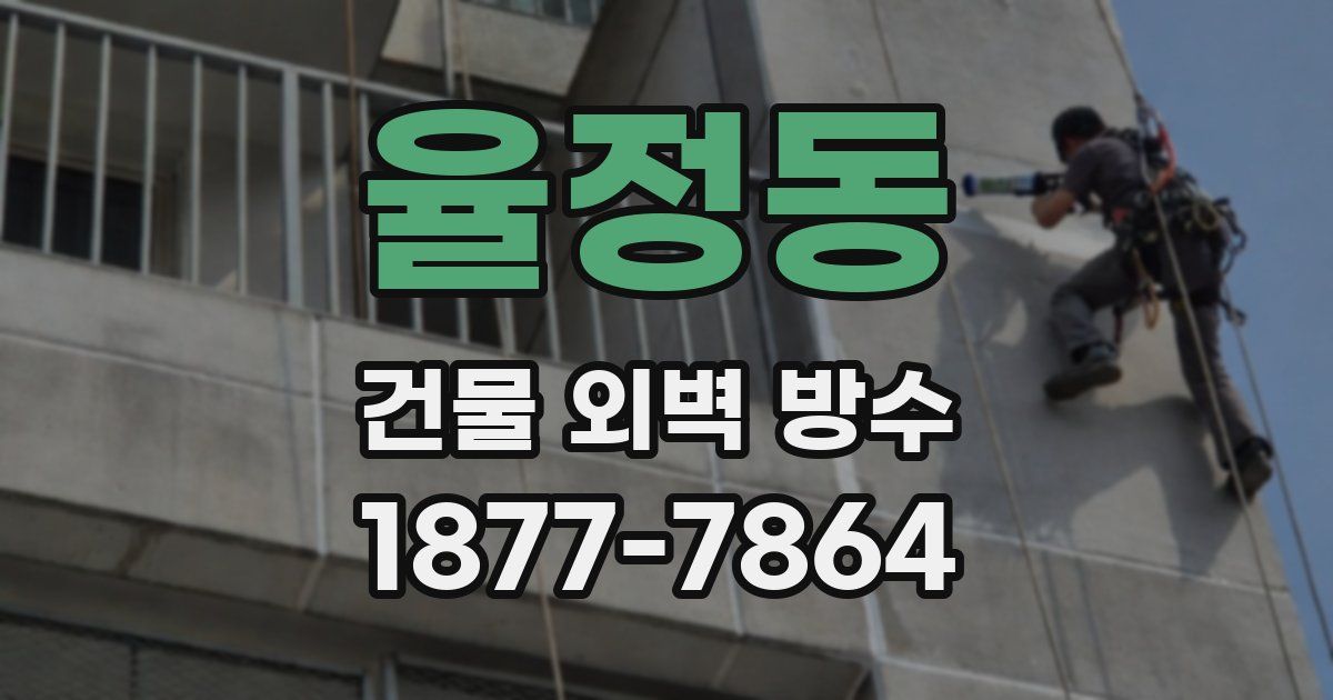 율정동 건물 외벽 방수