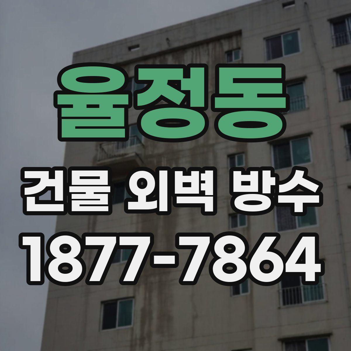 율정동 건물 외벽 방수