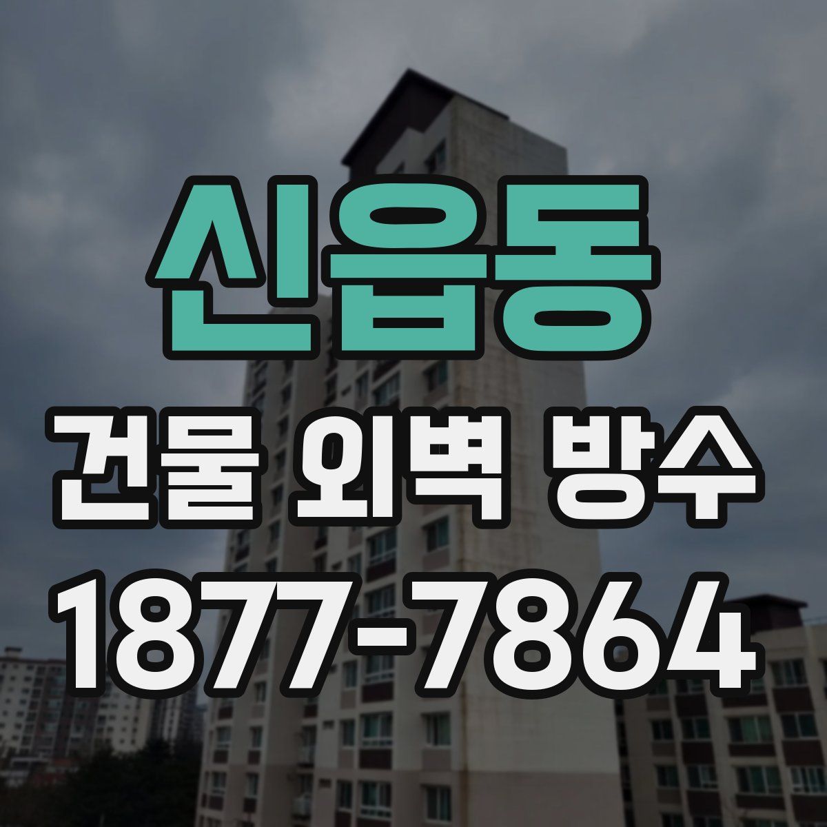 신읍동 건물 외벽 방수