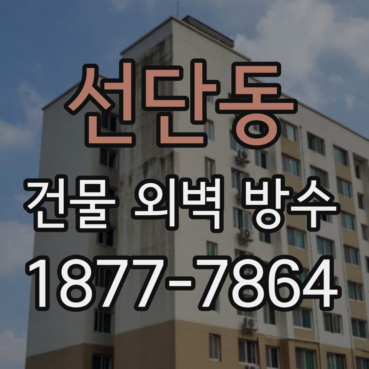 선단동 건물 외벽 방수