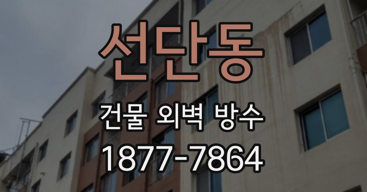 선단동 건물 외벽 방수