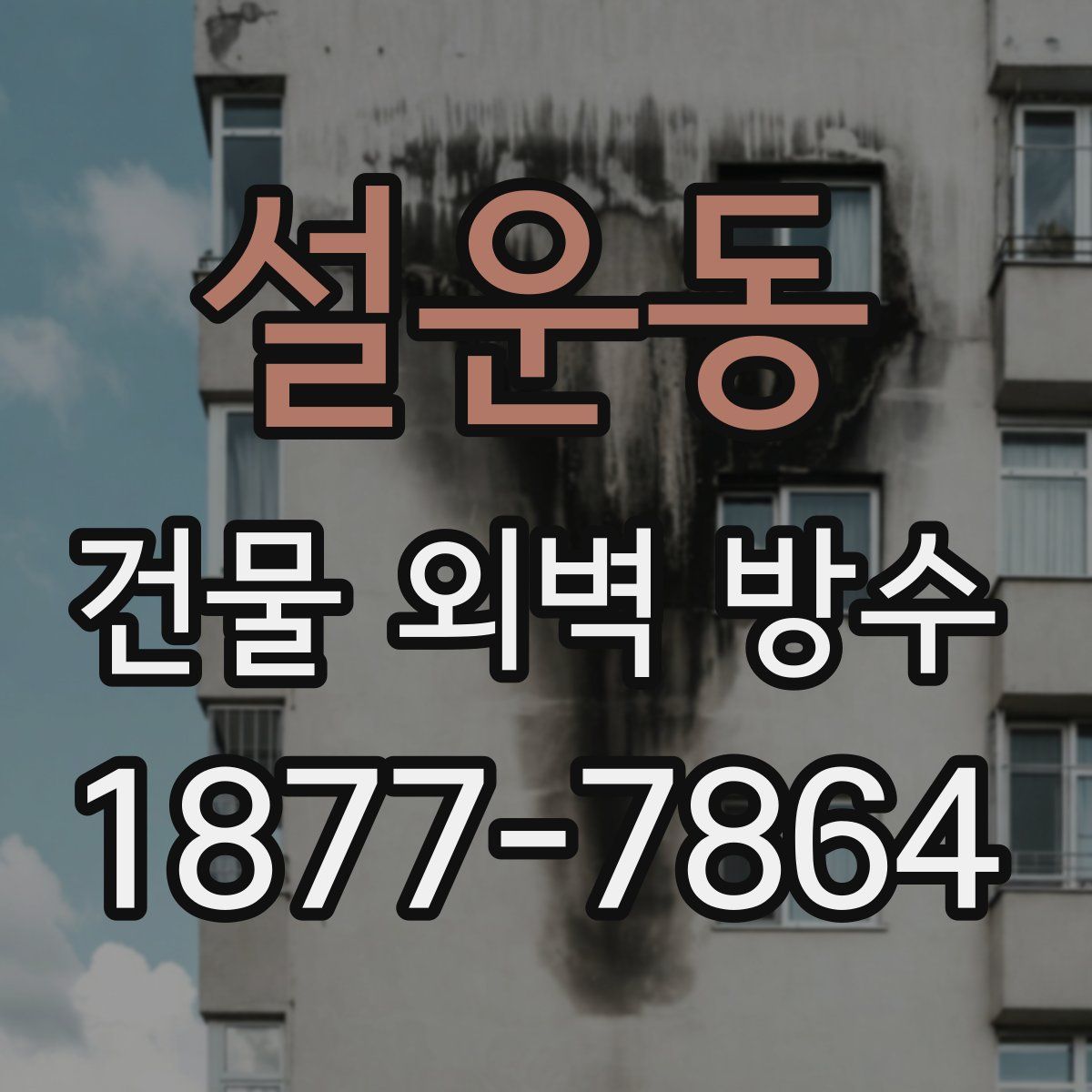 설운동 건물 외벽 방수