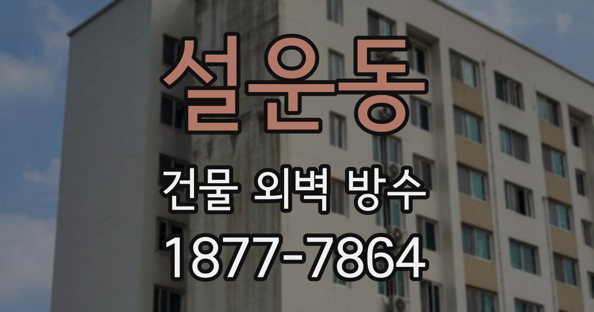 설운동 건물 외벽 방수