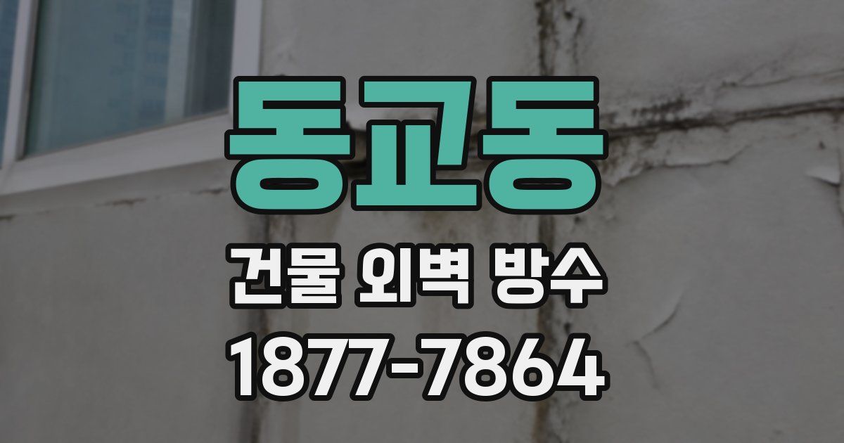 동교동 건물 외벽 방수