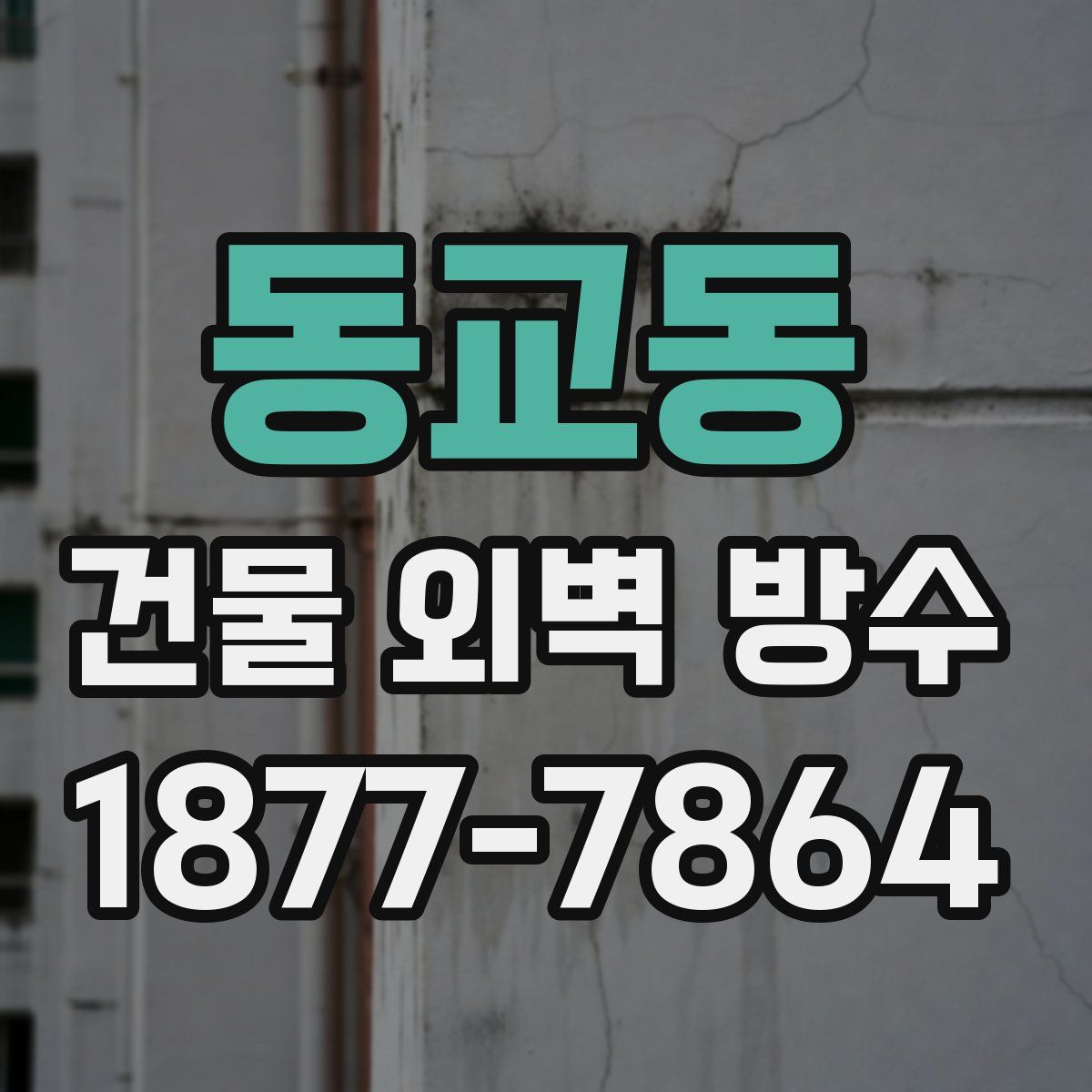 동교동 건물 외벽 방수
