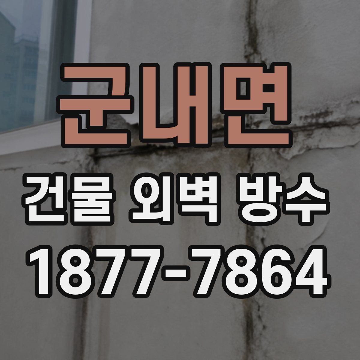 군내면 건물 외벽 방수 벽체 손상 정도에 따른 보수 선택