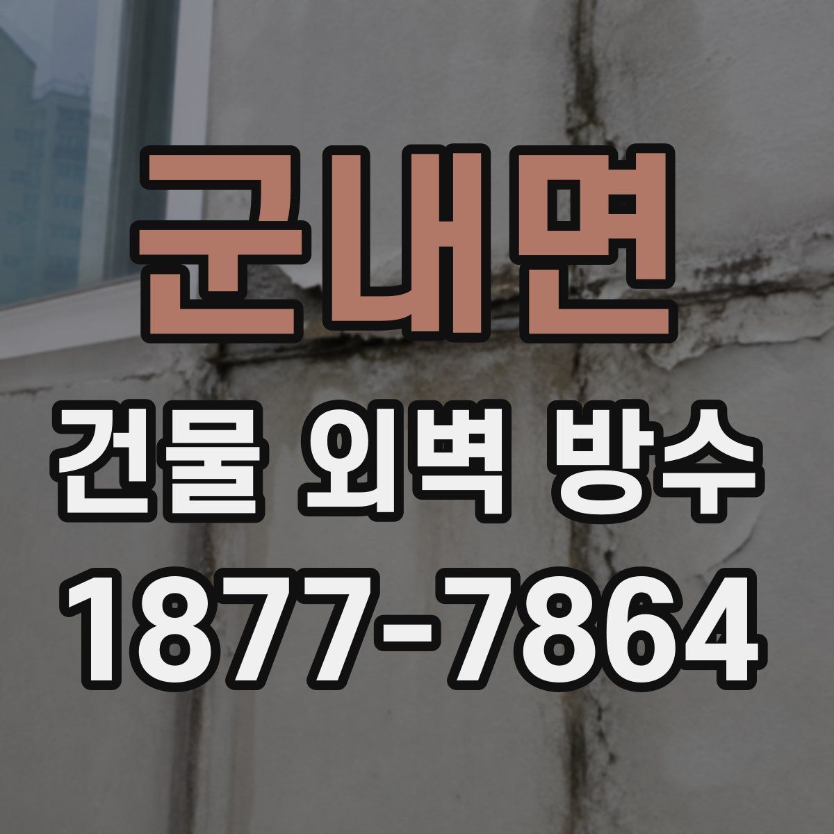 군내면 건물 외벽 방수