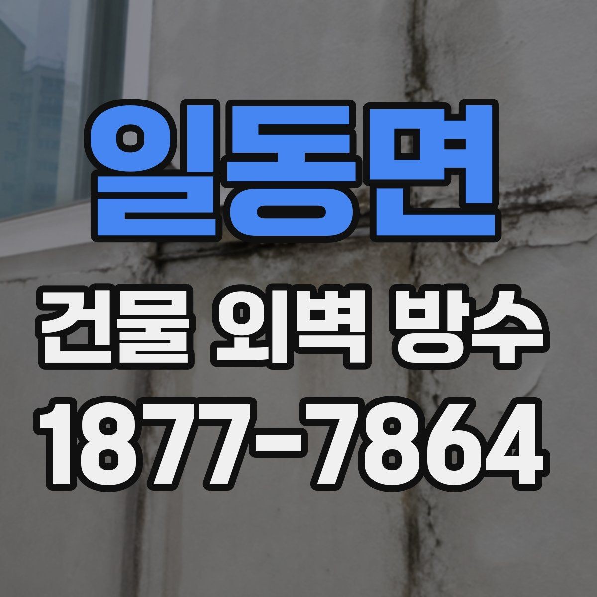 일동면 건물 외벽 방수 공사비 절감에 도움이 되는 팁