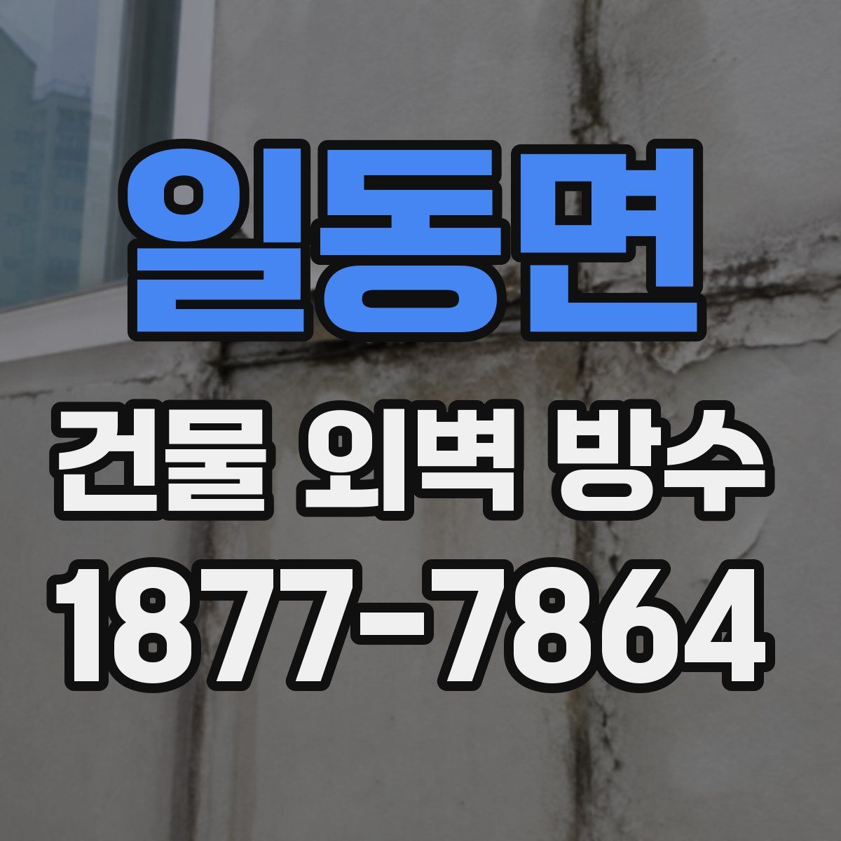 일동면 건물 외벽 방수