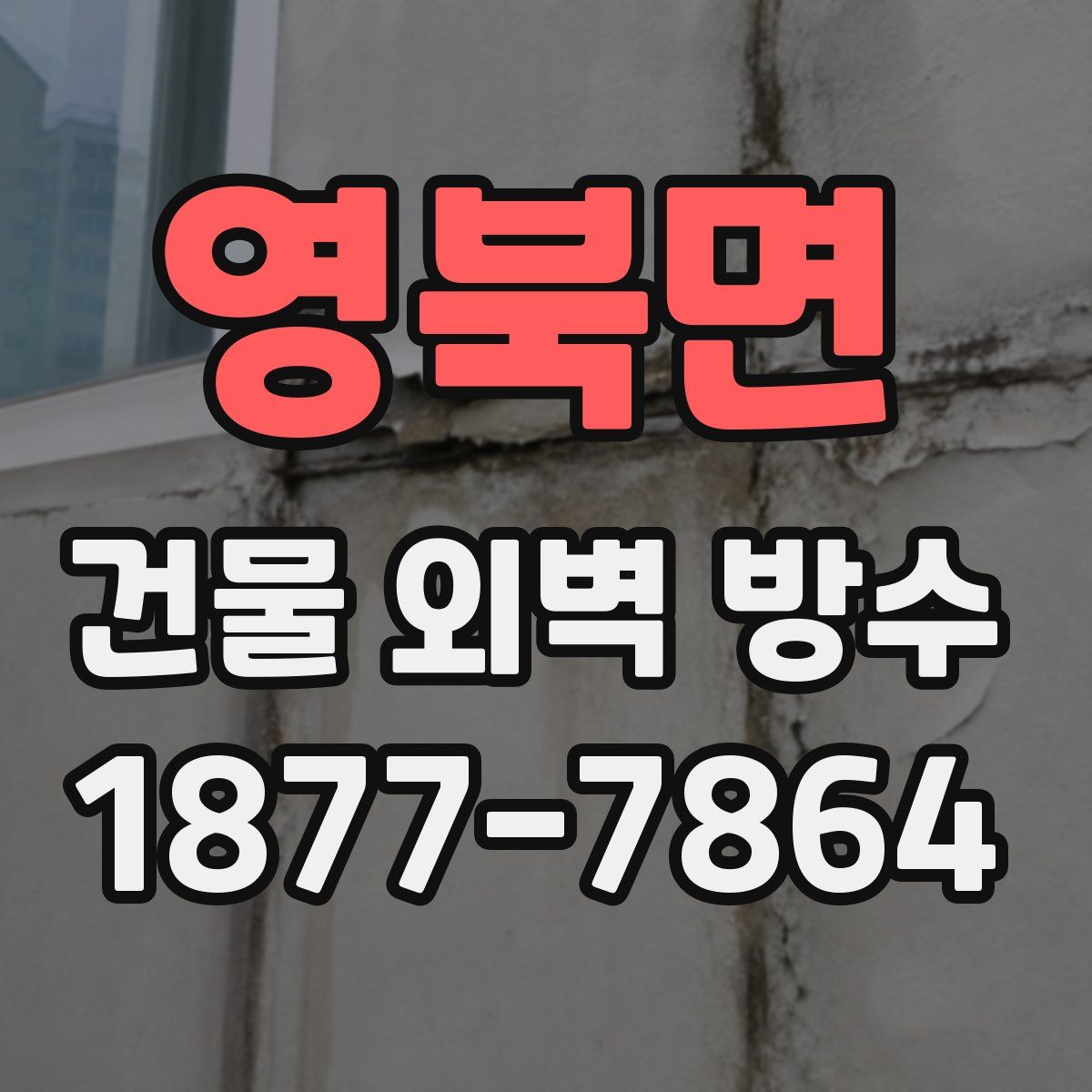 영북면 건물 외벽 방수