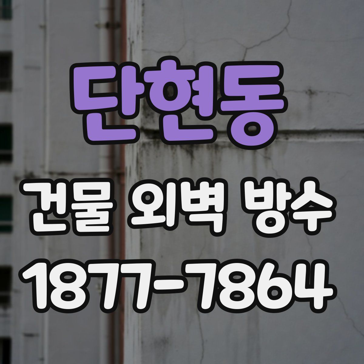 단현동 건물 외벽 방수