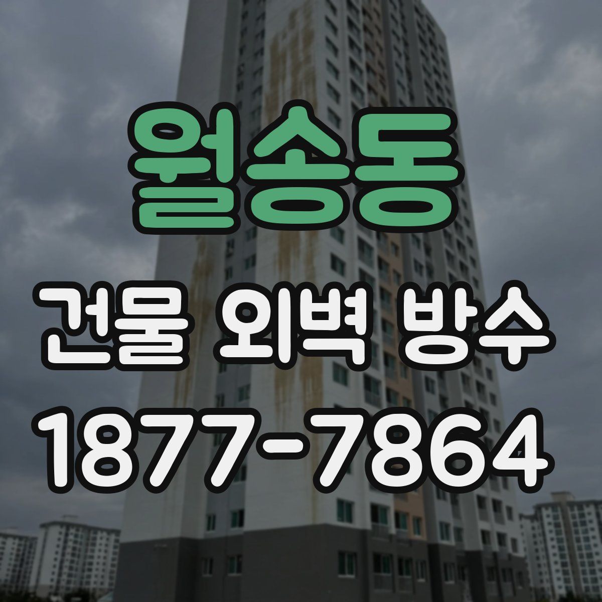 월송동 건물 외벽 방수