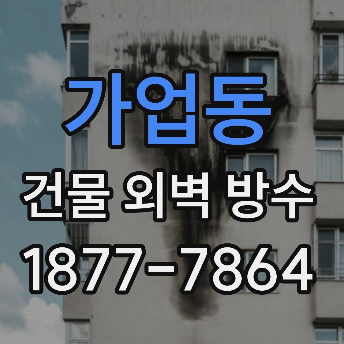 가업동 건물 외벽 방수