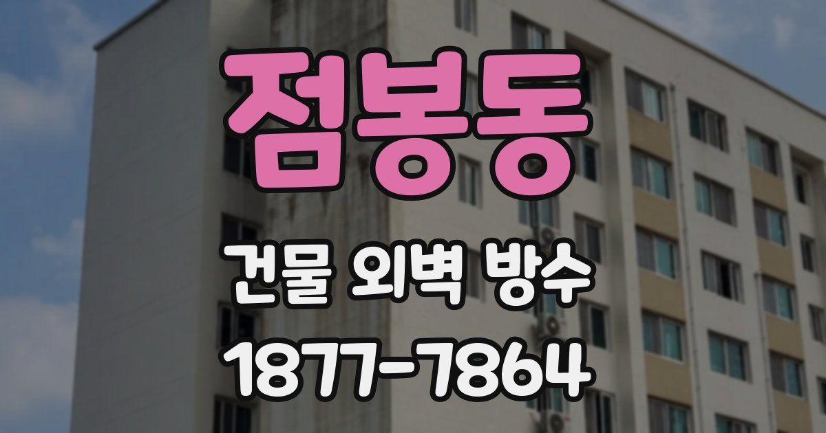 점봉동 건물 외벽 방수
