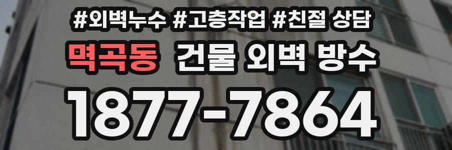 멱곡동 건물 외벽 방수