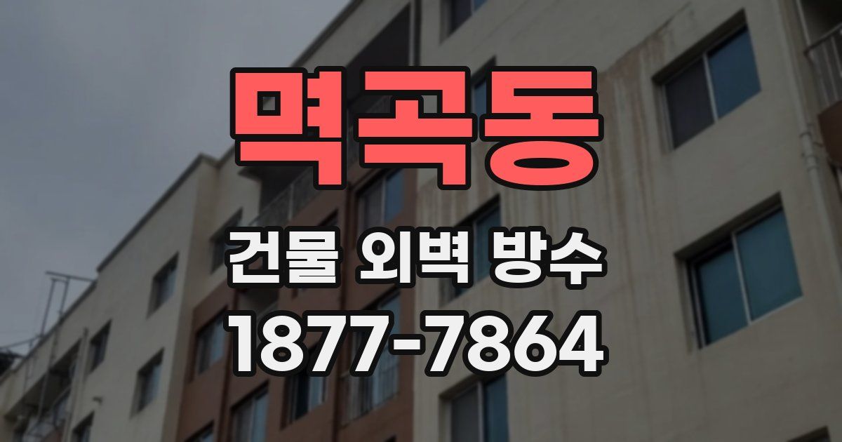멱곡동 건물 외벽 방수