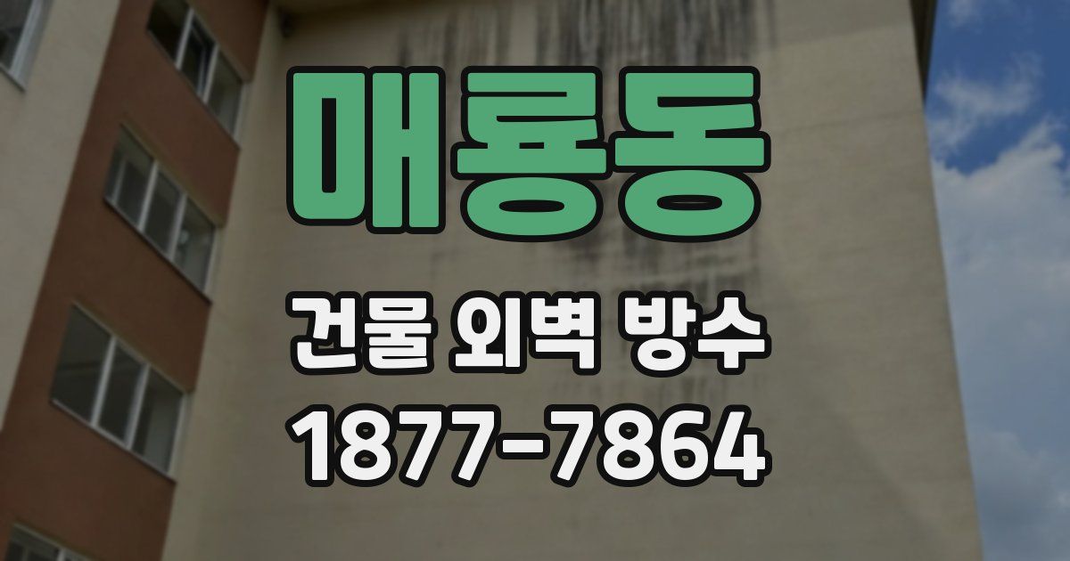 매룡동 건물 외벽 방수