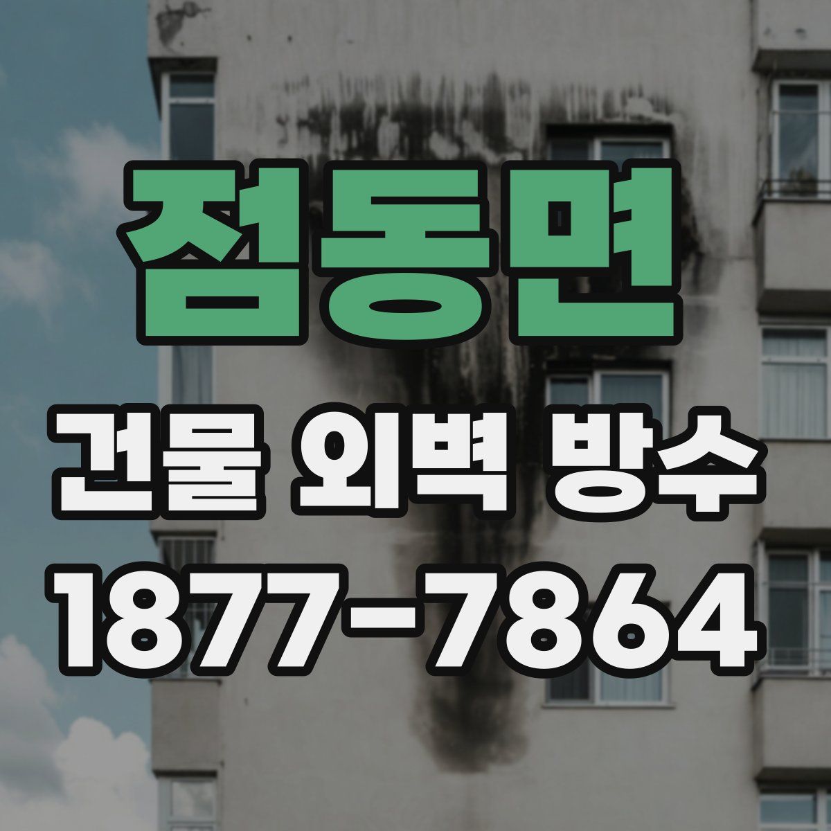 점동면 건물 외벽 방수