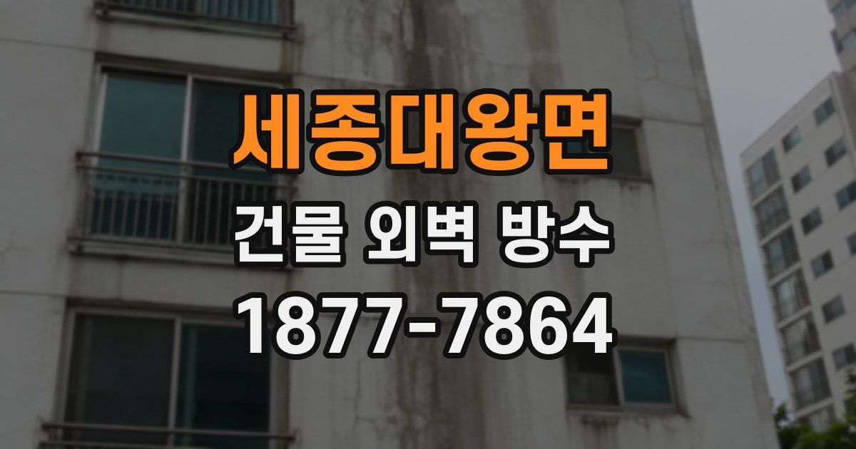 세종대왕면 건물 외벽 방수