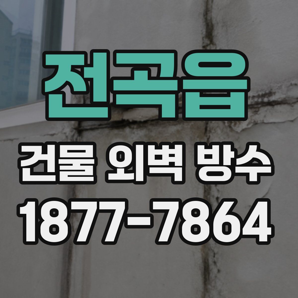 전곡읍 건물 외벽 방수