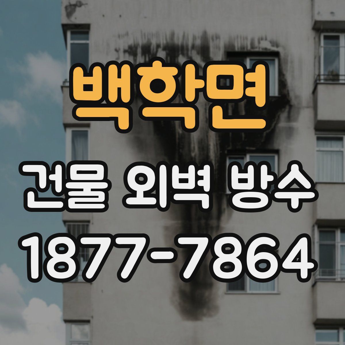 백학면 건물 외벽 방수